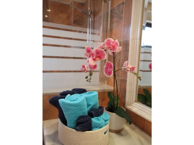 Holiday house Villa Frangipani - Features photo 21