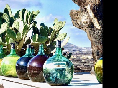 Holiday house Villa Frangipani - Environment photo 31