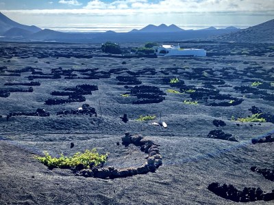 Holiday house Villa Frangipani - Environment photo 37