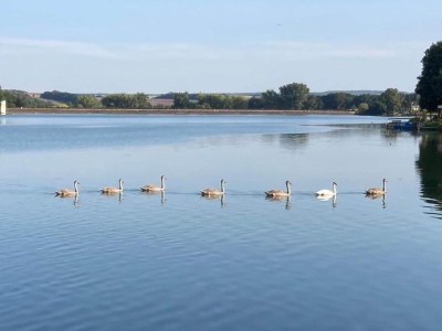 Apartment Ferienwohnung in Braunichswalde - Environment photo 29