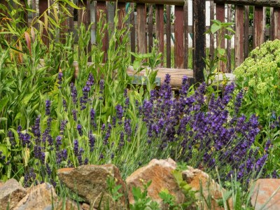 Apartment Ferienwohnung in Braunichswalde - Outdoor photo 36