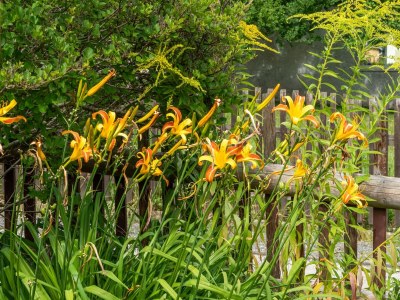 Apartment Ferienwohnung in Braunichswalde - Outdoor photo 37