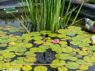 Apartment Ferienwohnung in Braunichswalde - Outdoor photo 40