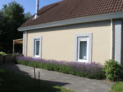 Holiday house Alegria - Outdoor photo 11