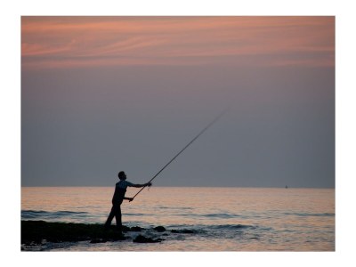 Holiday house Alegria - Environment photo 30