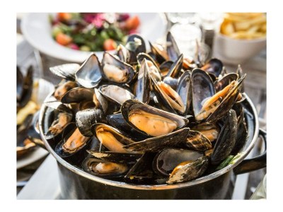 Holiday house Alegria - Environment photo 31