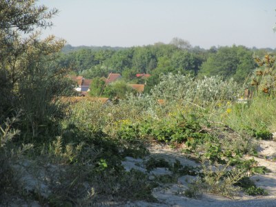 Holiday house Alegria - Environment photo 33