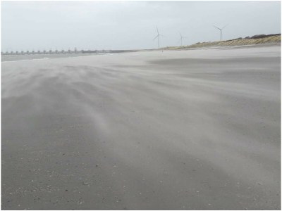 Holiday house Alegria - Environment photo 35