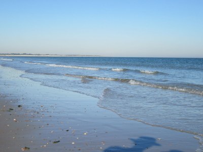 Holiday house Alegria - Environment photo 36