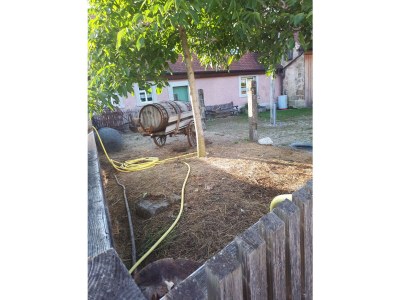 Holiday apartment Haus Sonne - Outdoor photo 6