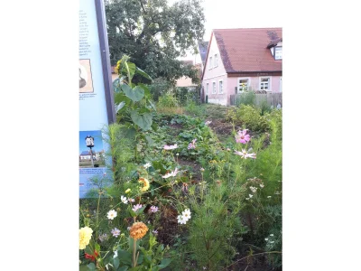 Holiday apartment Haus Sonne - Outdoor photo 9