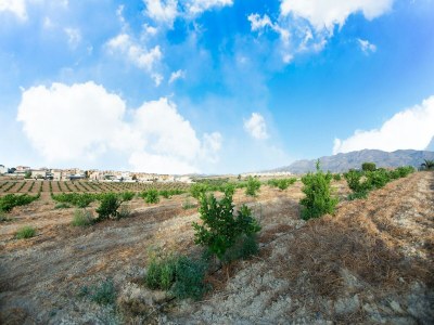 Holiday house Charming Coastal Escape - Environment photo 38