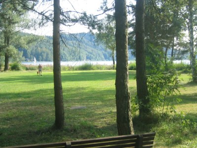 Holiday house on the lake - Environment photo 23