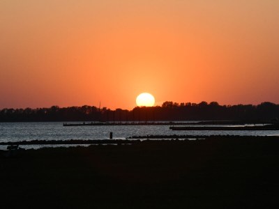 Villa Maroma Regal - Environment photo 40