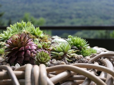 Holiday house No title - Features photo 21