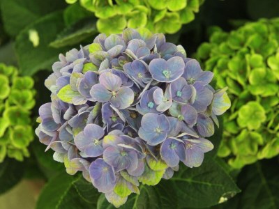 Holiday house No title - Features photo 23