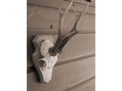 Holiday house No title - Features photo 24