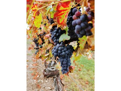 Holiday house No title - Environment photo 27