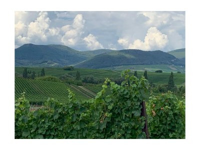 Holiday house No title - Environment photo 28