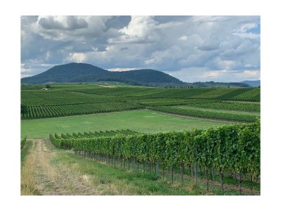 Holiday house No title - Environment photo 29