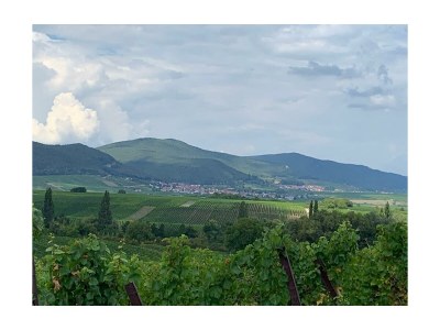 Holiday house No title - Environment photo 30