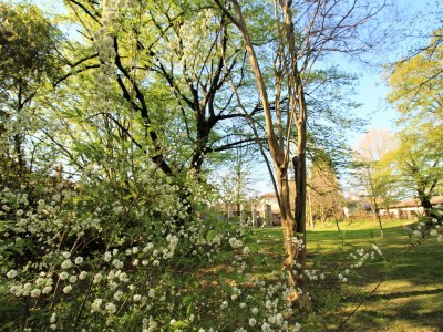Holiday house Torre ottoniana - Outdoor photo 16