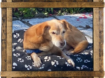 Holiday house Maiwald - Features photo 11