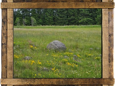 Holiday house Maiwald - Environment photo 17