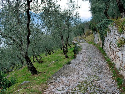 Holiday apartment Casa Oliva - Environment photo 27