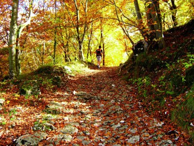 Holiday apartment Casa Oliva - Environment photo 29