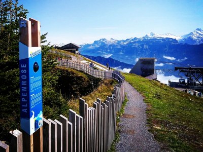 Chalet Lilo - Environment photo 27