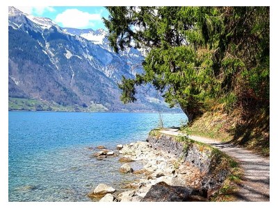 Chalet Lilo - Environment photo 28