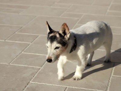 Villa Hera - Environment photo 39