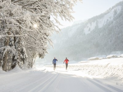 Holiday apartment Bergjuwel House - Environment photo 12