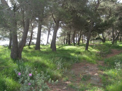 Holiday apartment Sole - Environment photo 31