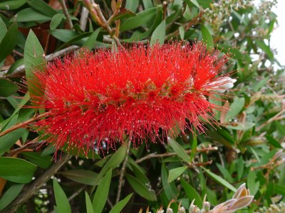 Holiday apartment Sole - Environment photo 37