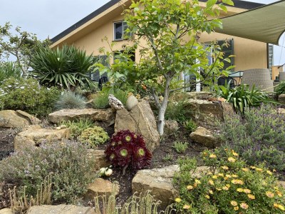 Holiday apartment Sole - Environment photo 38