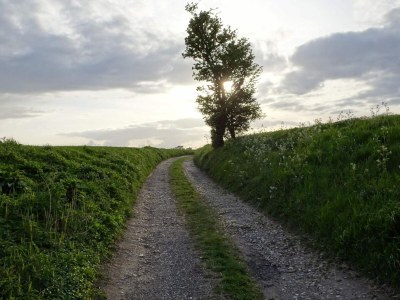 Holiday house 12 person holiday home in Bredebro-By Traum - Outdoor photo 7