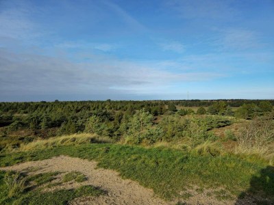 Holiday house Ruhiger Ruckzugsort in Bolilmark-By Traum - Outdoor photo 8