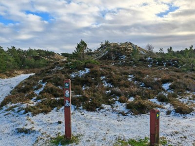 Holiday house Ruhiger Ruckzugsort in Bolilmark-By Traum - Outdoor photo 14