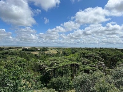 Holiday house Ruhiger Ruckzugsort in Bolilmark-By Traum - Outdoor photo 30