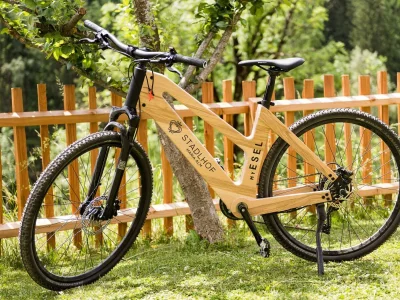 Apartment Apartment Almrose - Environment photo 14