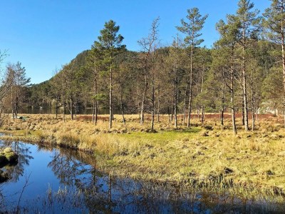 Holiday house 9 person holiday home in Reksteren - Outdoor photo 17