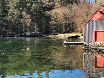 Holiday house 9 person holiday home in Reksteren - Outdoor photo 44