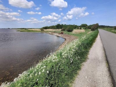 Holiday house Abgeschiedenes Waldrefugium in Gjol-By Traum - Outdoor photo 2