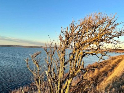 Holiday house Abgeschiedenes Waldrefugium in Gjol-By Traum - Outdoor photo 6