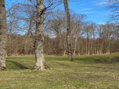 Holiday house Abgeschiedenes Waldrefugium in Gjol-By Traum - Outdoor photo 10