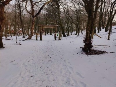 Holiday house Abgeschiedenes Waldrefugium in Gjol-By Traum - Outdoor photo 19