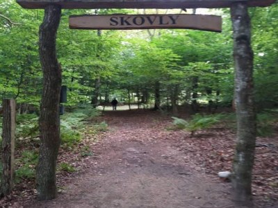 Holiday house Abgeschiedenes Waldrefugium in Gjol-By Traum - Outdoor photo 20