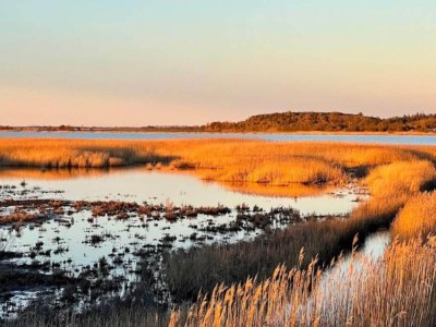 Holiday house Abgeschiedenes Waldrefugium in Gjol-By Traum - Outdoor photo 21